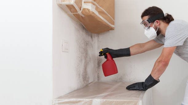 Professional Mold Inspection And Testing technician working in Simpson, PA