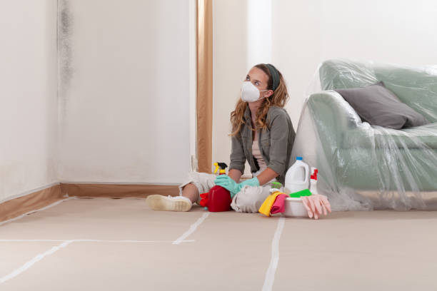Reliable Mold Inspection And Testing contractor in Simpson, PA by Car Mold Remediation